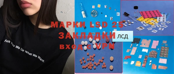 эйфоретик Бородино