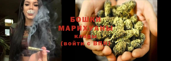 спиды Богородск