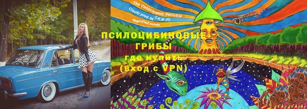 эйфоретик Бородино