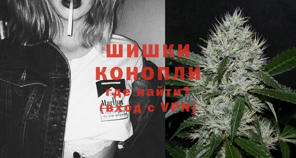 PSILOCYBIN Бугульма