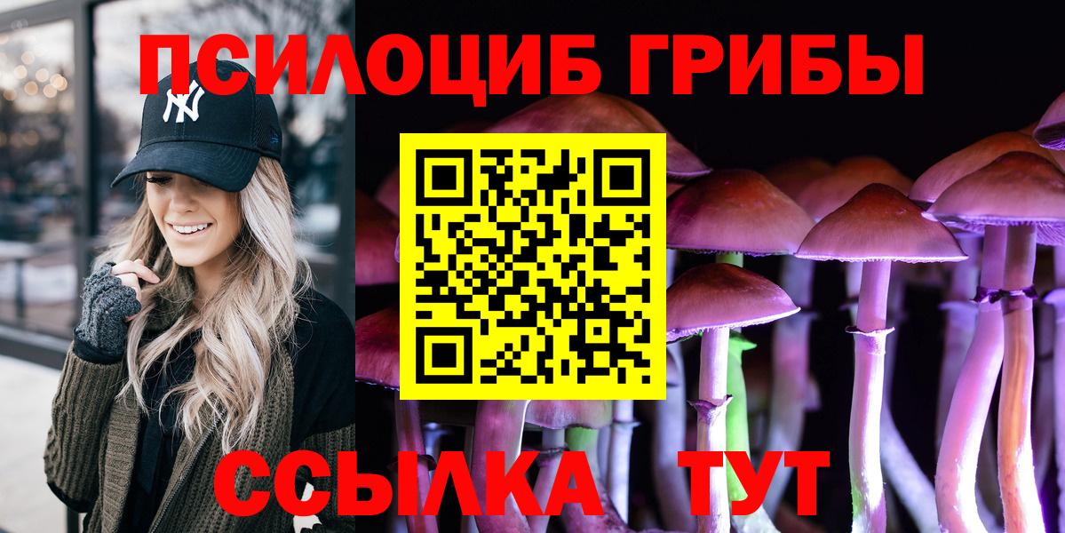 Зима  Псилоцибиновые грибы Psilocybe  Вход с VPN 