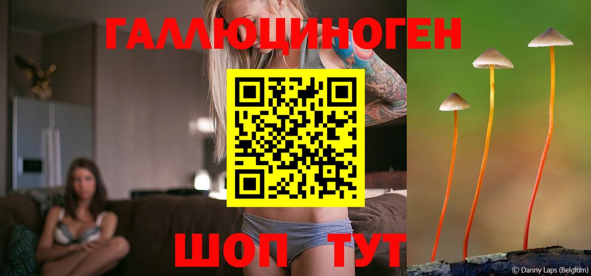 Псилоцибиновые грибы мицелий Зима
