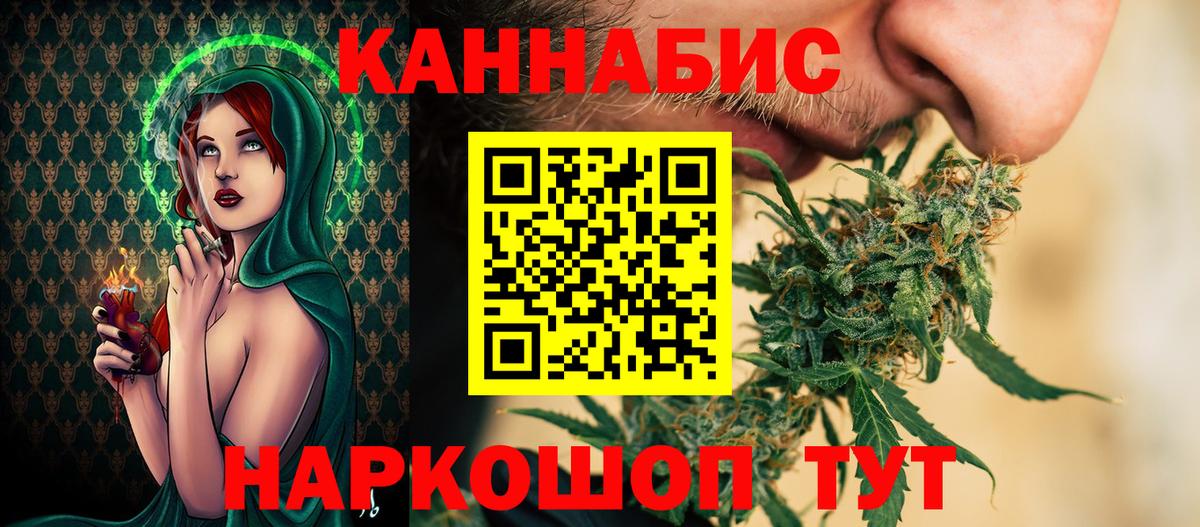 Канабис планчик Зима
